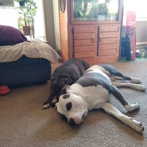 Meet your Posher, Robert